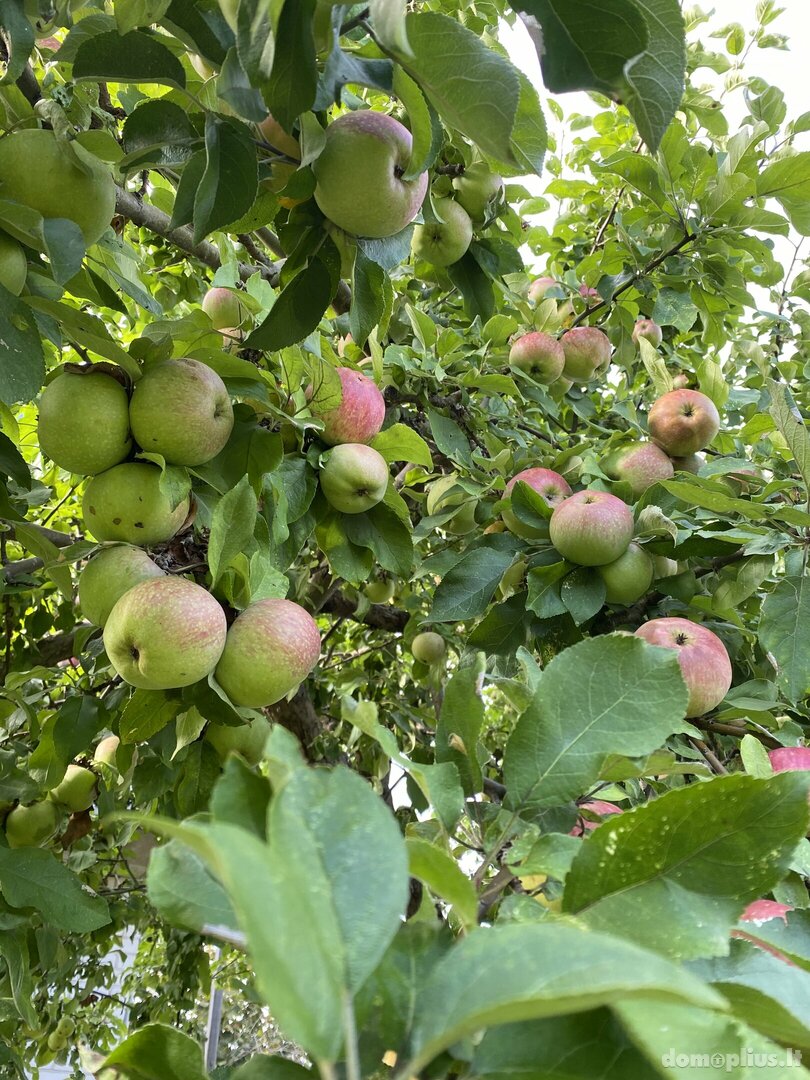 Parduodamas sodo namas Klaipėdos rajono sav., Dercekliuose, Laužų g.