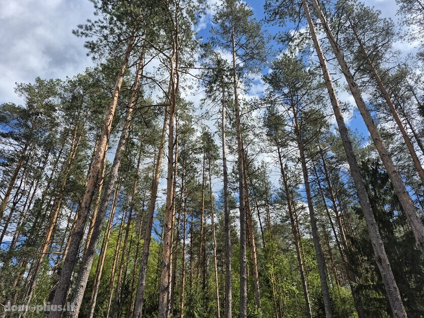 Parduodama sodyba Švenčionių rajono sav., Serlediškyje