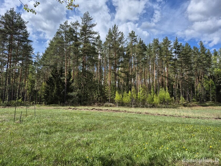 Parduodama sodyba Švenčionių rajono sav., Serlediškyje