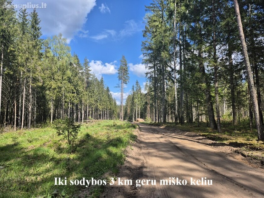 Parduodama sodyba Švenčionių rajono sav., Serlediškyje
