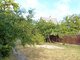 Summer house for sale Klaipėdos rajono sav., Kiškėnuose (9 picture)