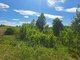 Продаётся дом Lazdijų rajono sav., Verstaminuose, Miško g. (12 Фотография)