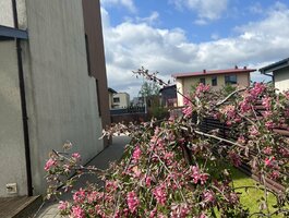 Parduodamas sublokuotas namas Kauno rajono sav., Vijūkuose, Girelės g.