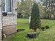 House for sale Radviliškio rajono sav., Batkūnuose (6 picture)