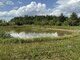 Parduodamas gyvenamasis namas Pakruojo rajono sav., Budziniškyje (6 nuotrauka)
