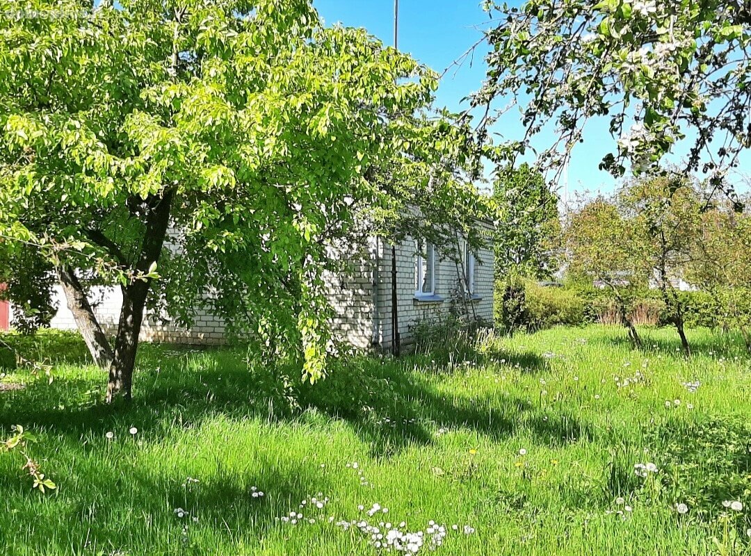 Parduodama sodyba Joniškio rajono sav., Plikiškiuose, Šilelių g.