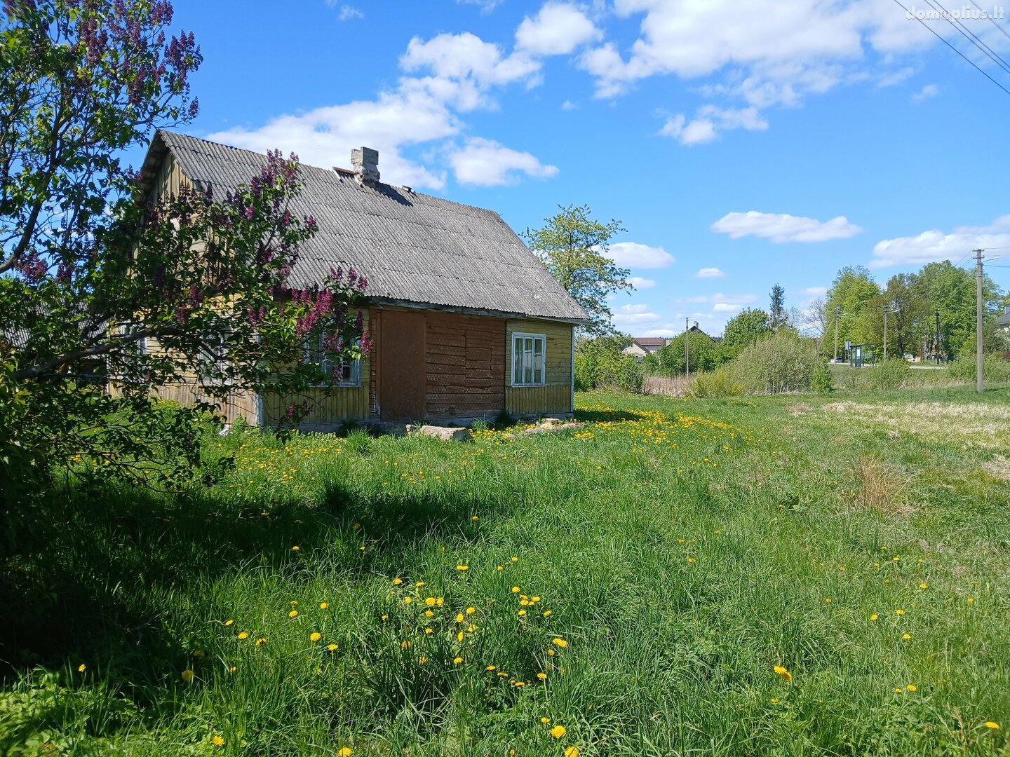 Продаётся yсадьба Druskininkų sav., Stračiūnuose, Žaliamiškio g.