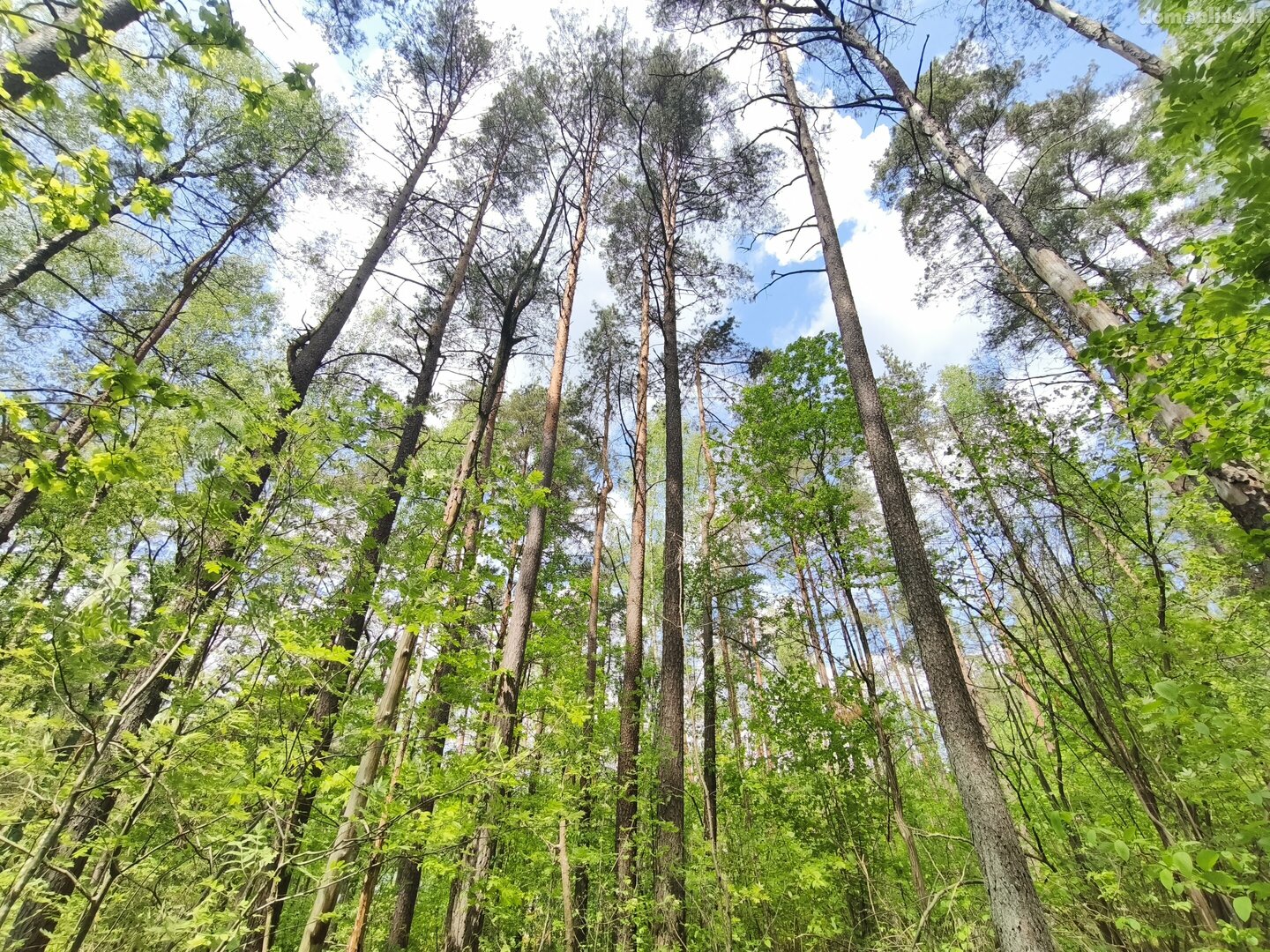 Продаётся дача Molėtų rajono sav., Kirneilėje, Ežerų g.