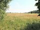 Parduodamas gyvenamasis namas Šilutės rajono sav., Muižėje (3 nuotrauka)