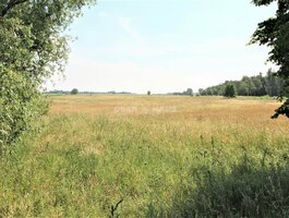Parduodamas gyvenamasis namas Šilutės rajono sav., Muižėje
