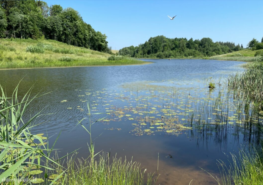 Продаётся yсадьба Švenčionių rajono sav., Teberiškėje