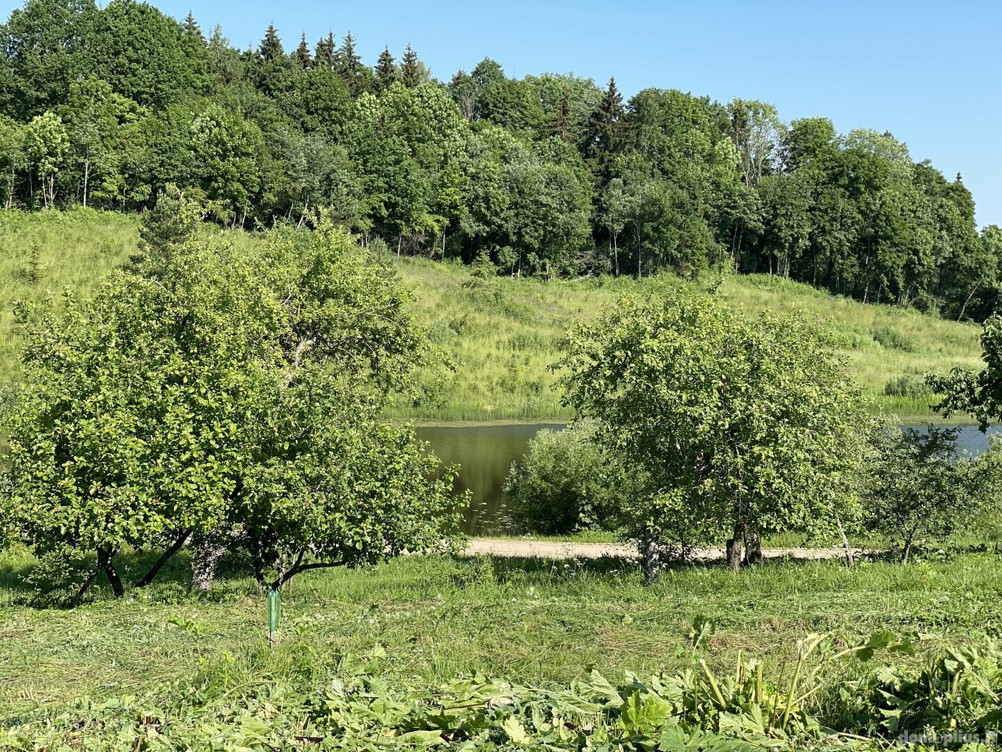 Продаётся yсадьба Švenčionių rajono sav., Teberiškėje