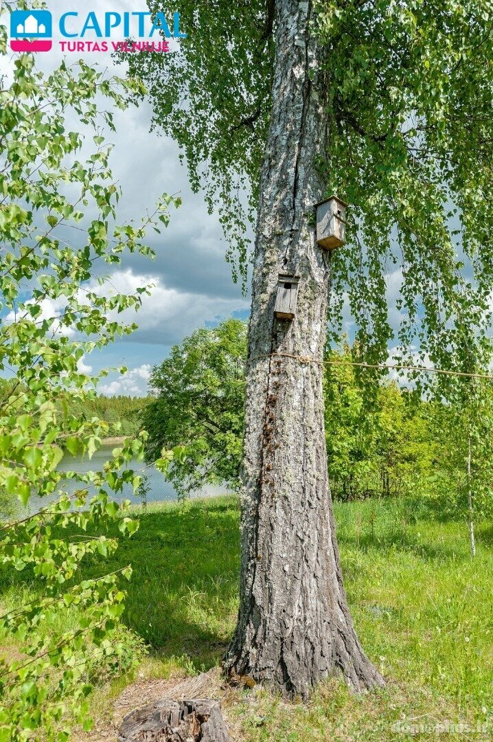Продаётся yсадьба Ignalinos rajono sav., Senasis Daugėliškis