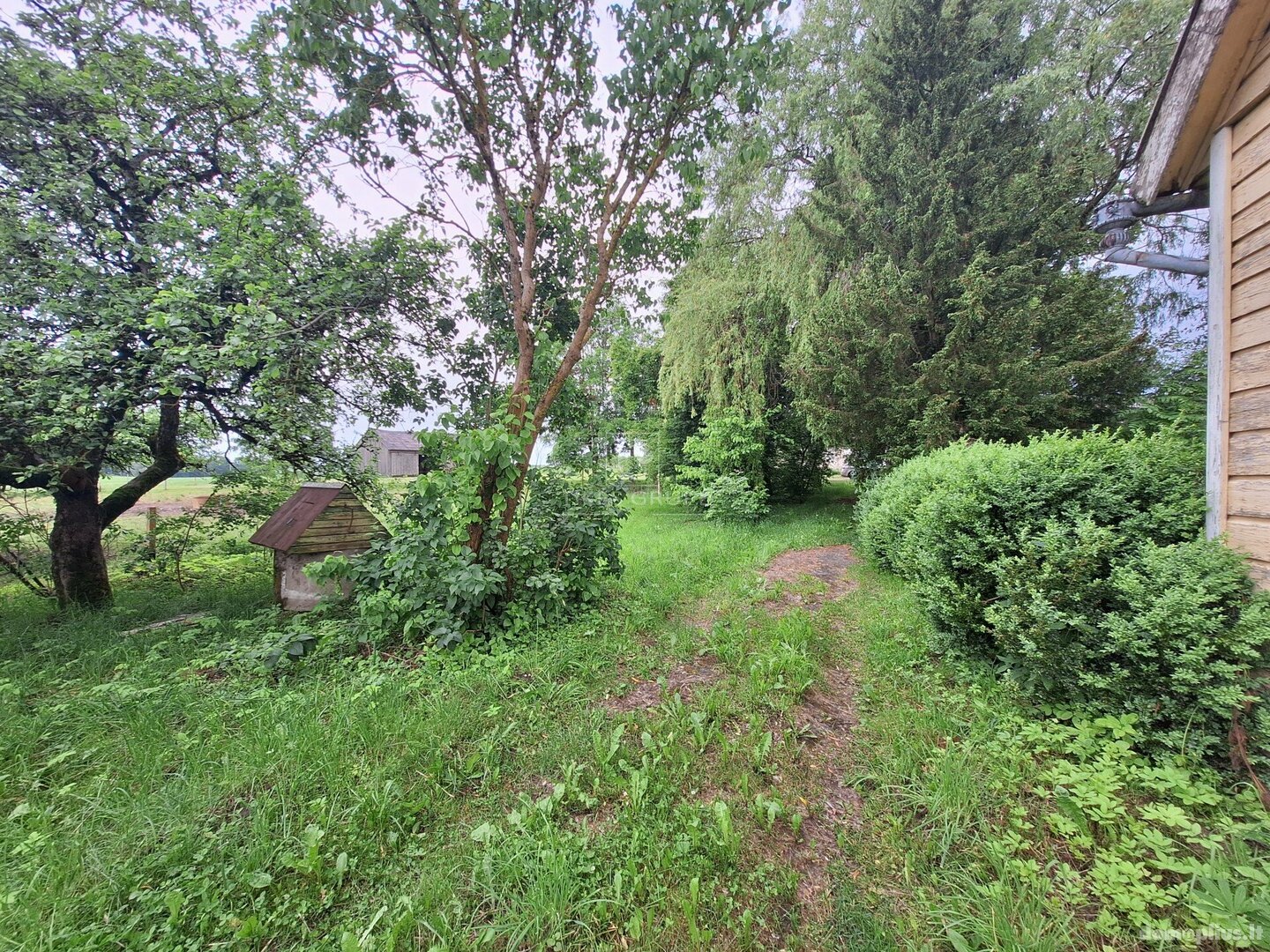 Parduodama sodyba Tauragės rajono sav., Paplėstiškėje