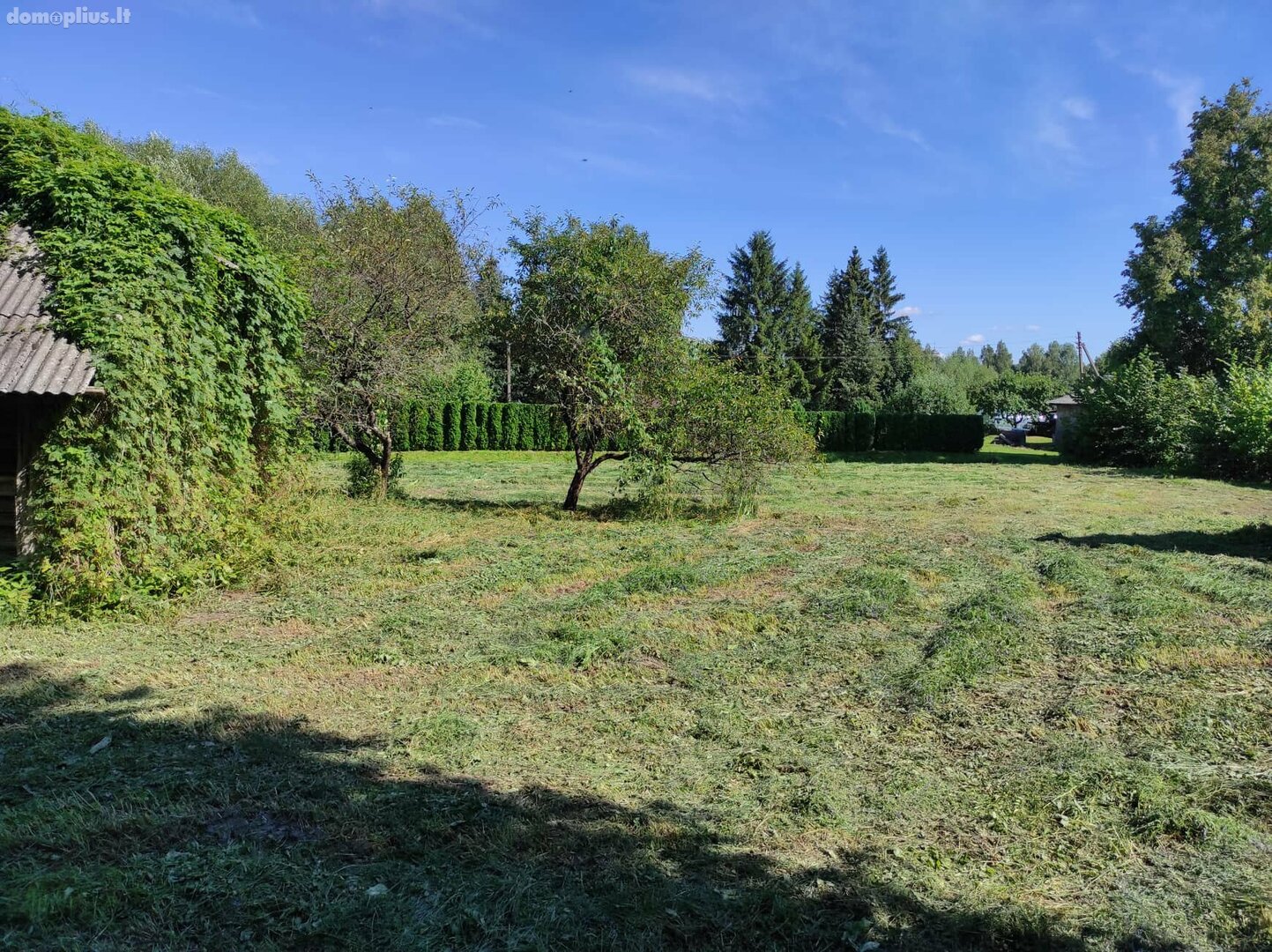 Parduodamas gyvenamasis namas Prienų rajono sav., Jiezne, Žalioji g.