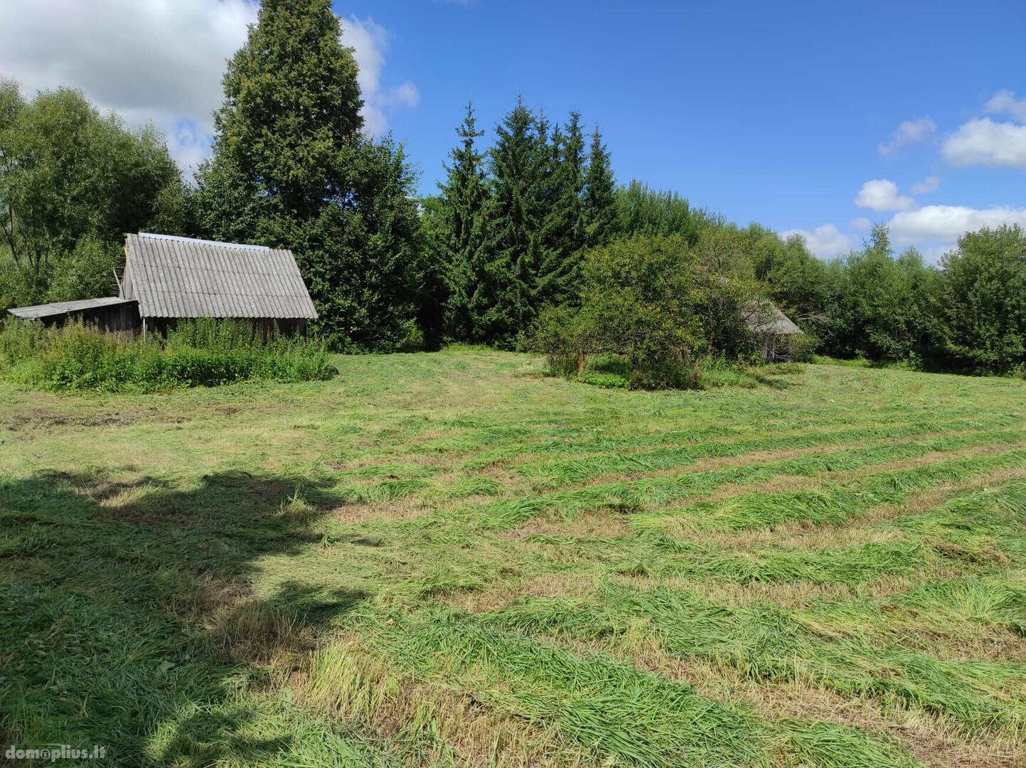 Parduodamas gyvenamasis namas Prienų rajono sav., Jiezne, Žalioji g.