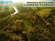 Parduodama sodyba Anykščių rajono sav., Migdoliškyje (8 nuotrauka)