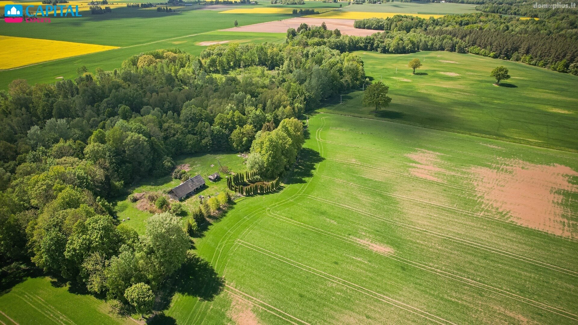 Parduodama sodyba Šakių rajono sav.