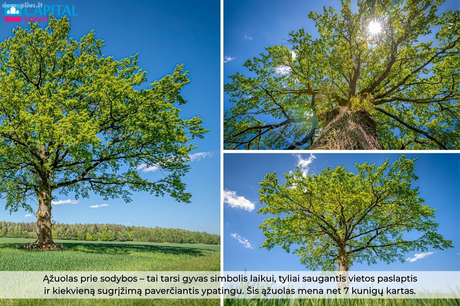 Parduodama sodyba Šakių rajono sav.