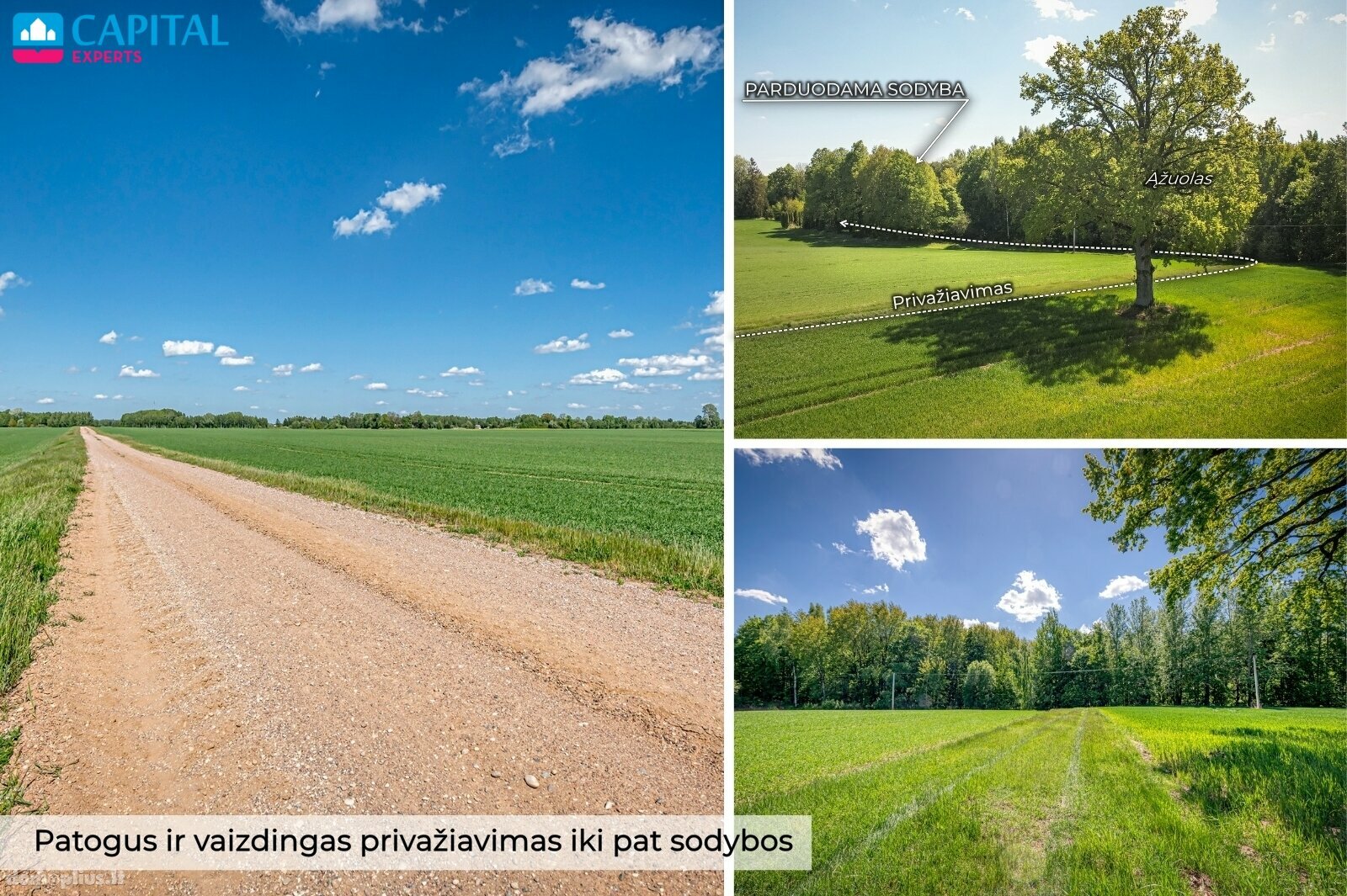 Parduodama sodyba Šakių rajono sav.