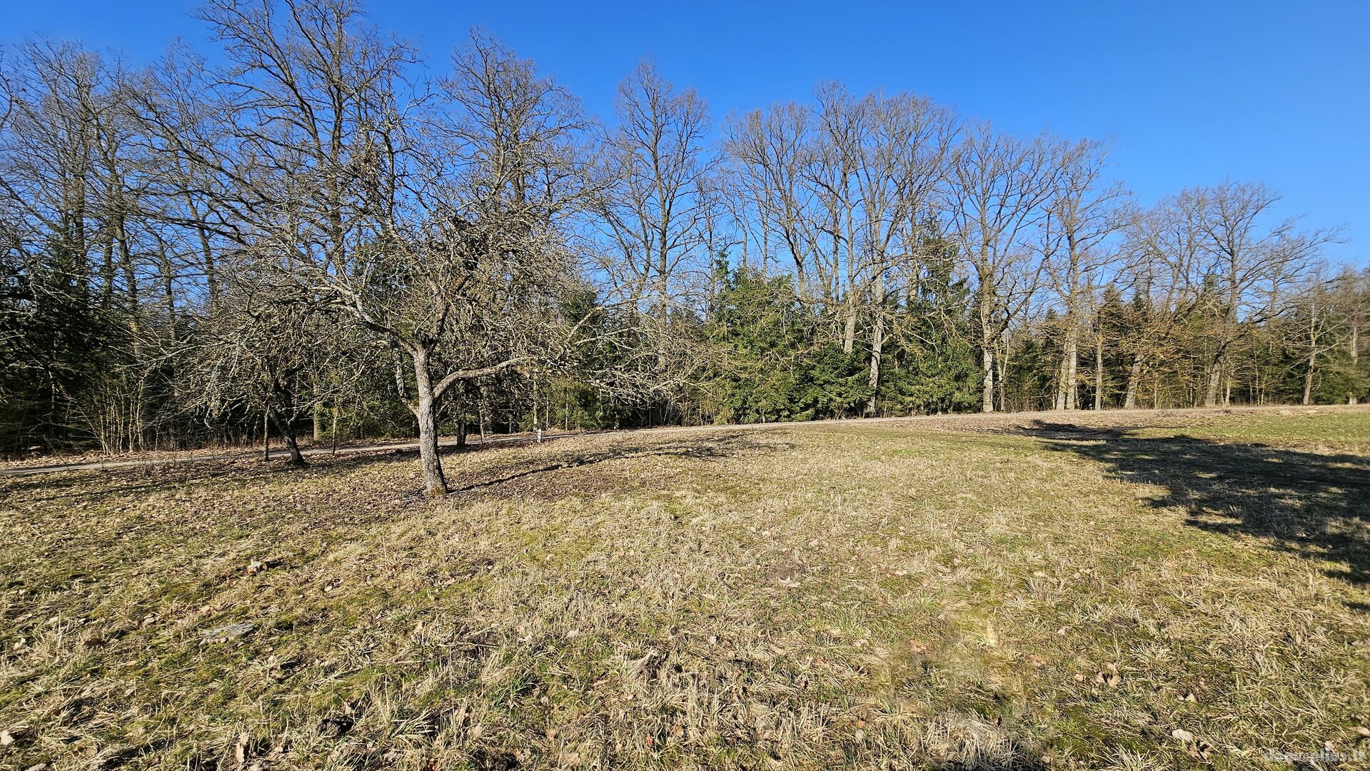 Homestead for sale Prienų rajono sav., Pakrovuose, Miško g.