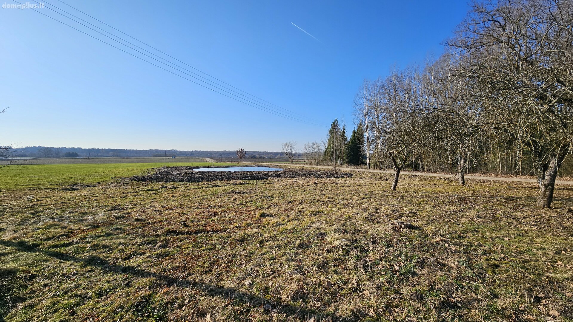 Homestead for sale Prienų rajono sav., Pakrovuose, Miško g.