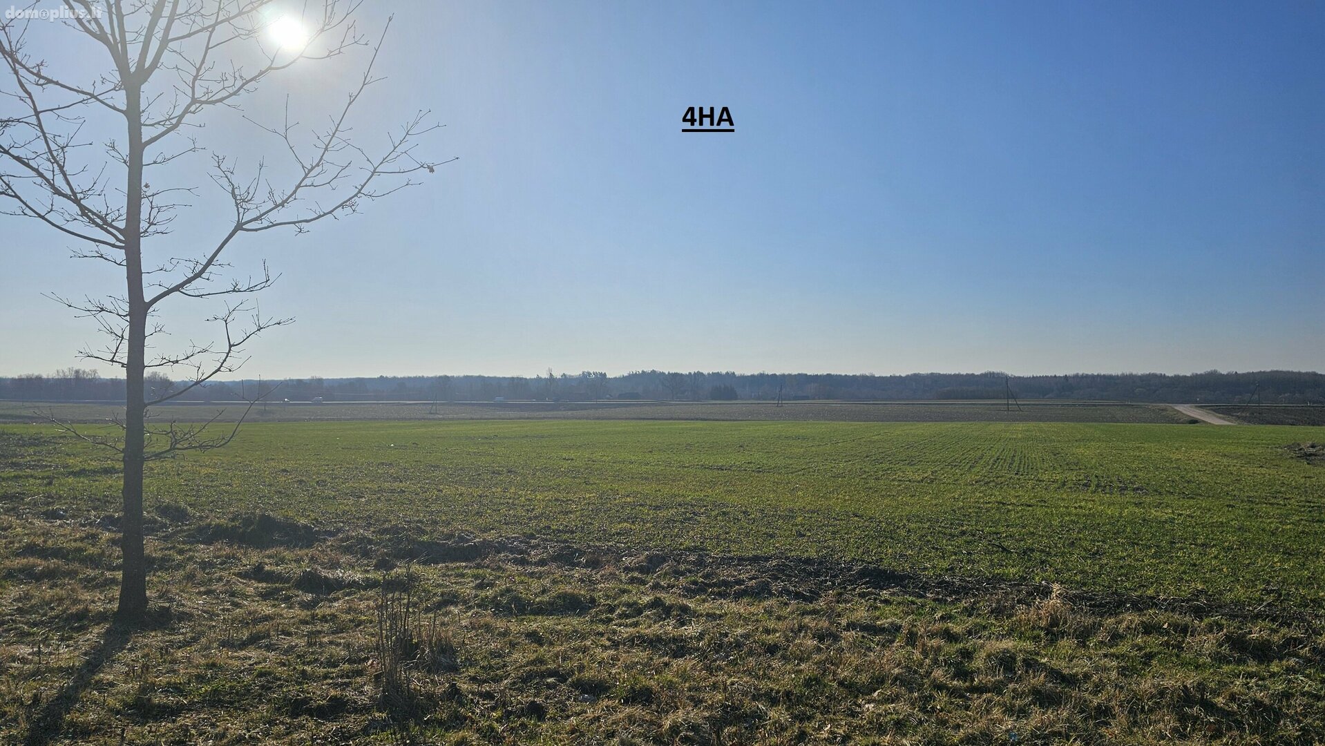 Homestead for sale Prienų rajono sav., Pakrovuose, Miško g.