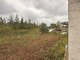 Parduodamas gyvenamasis namas Panevėžio rajono sav., Ajerų aklg. (11 nuotrauka)