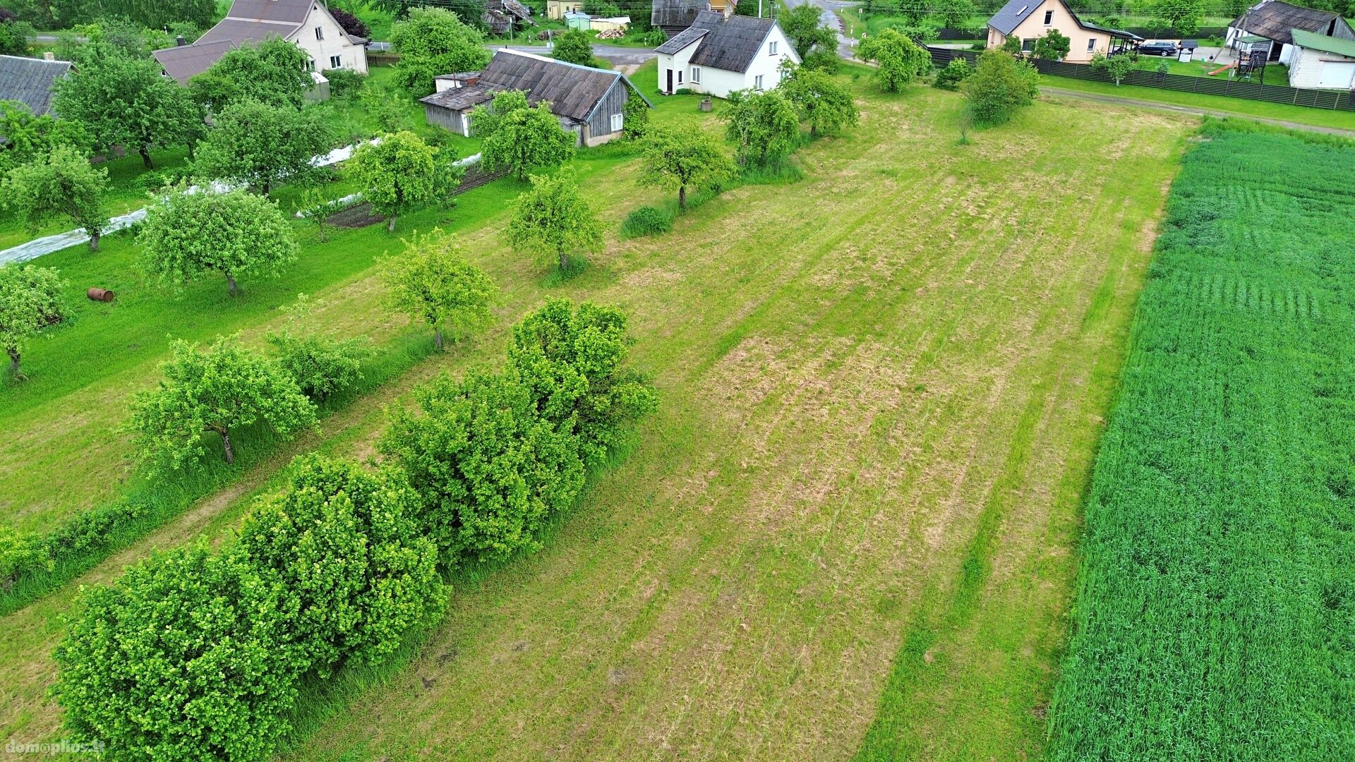 Parduodama sodyba Panevėžio rajono sav., Marijonavoje, Tilto g.