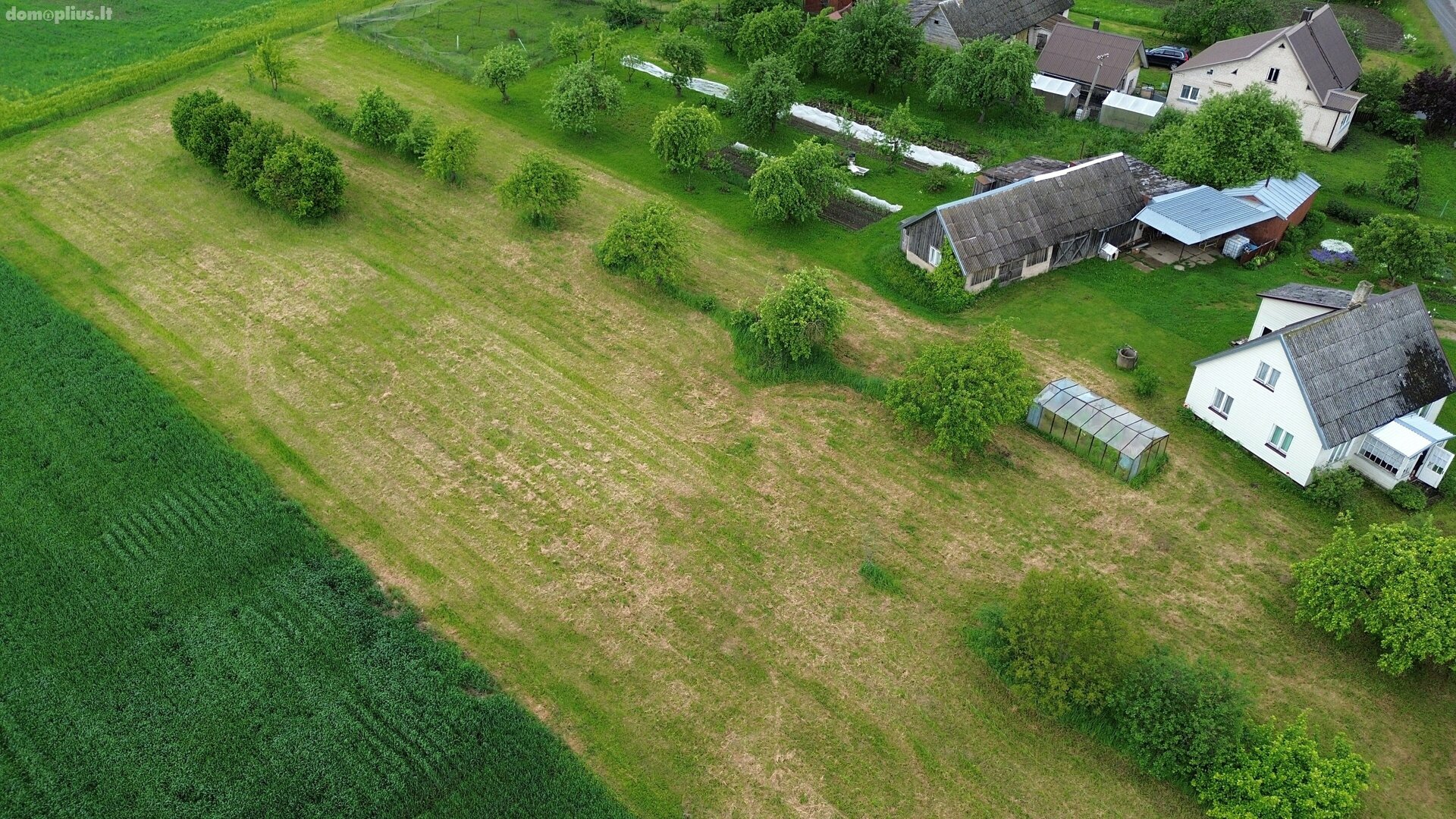 Parduodama sodyba Panevėžio rajono sav., Marijonavoje, Tilto g.