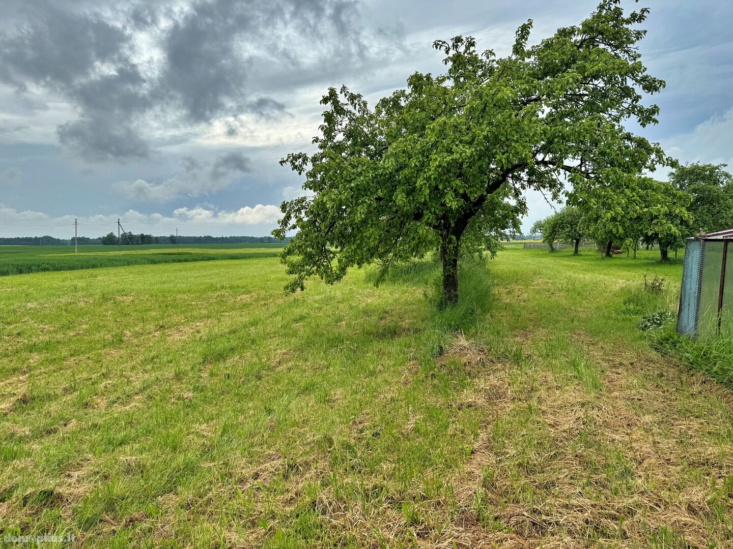 Parduodama sodyba Panevėžio rajono sav., Marijonavoje, Tilto g.