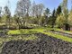 Parduodamas gyvenamasis namas Panevėžio rajono sav., Startuose (14 nuotrauka)