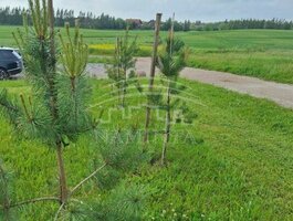 Parduodamas gyvenamasis namas Klaipėdos rajono sav., Normantuose