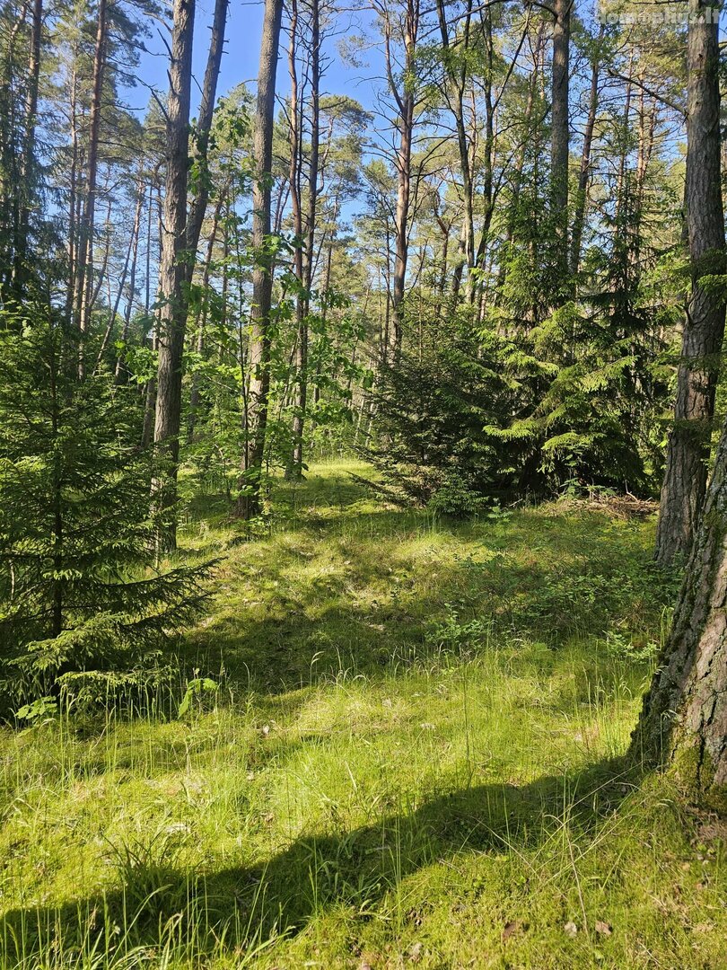 Nuomojama gyvenamojo namo dalis Klaipėdoje, Giruliuose, Šventosios g.