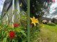 Продаётся дом Prienų rajono sav., Želkūnuose (9 Фотография)