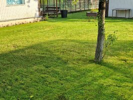 Sodo namas Panevėžio rajono sav., Šeškuose, Piniavos g.