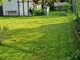 Summer house for sale Panevėžio rajono sav., Šeškuose, Piniavos g. (4 picture)