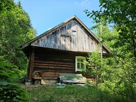 Parduodama sodyba Ignalinos rajono sav., Pamoliškėje