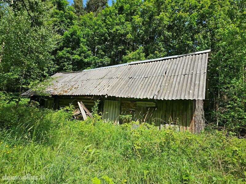 Parduodama sodyba Ignalinos rajono sav., Pamoliškėje