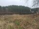 Homestead for sale Kaišiadorių rajono sav., Basonys II (6 picture)