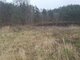 Homestead for sale Kaišiadorių rajono sav., Basonys II (7 picture)