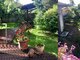 House for rent Vilniuje, Žvėryne, Žalioji g. (12 picture)